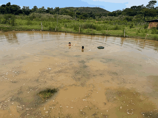 Fotos: Corpo de Bombeiros