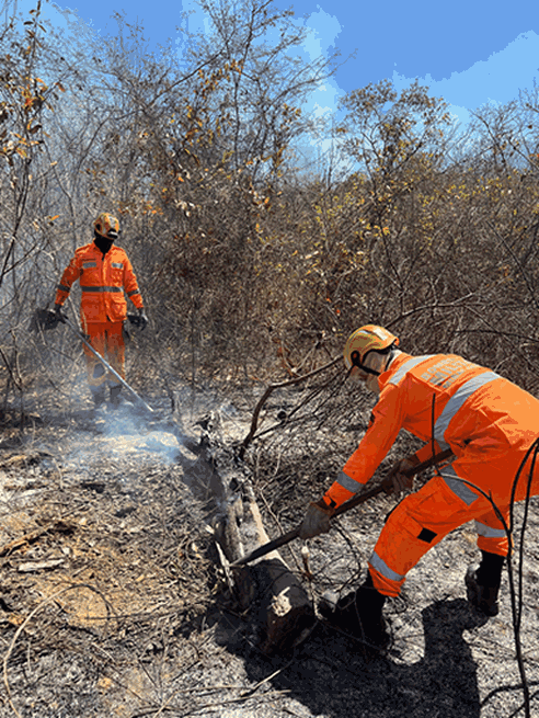 Fotos: Corpo de Bombeiros