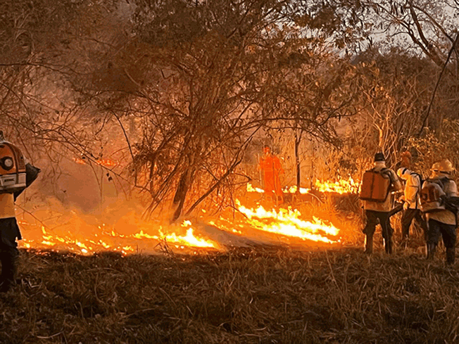 Fotos: Corpo de Bombeiros