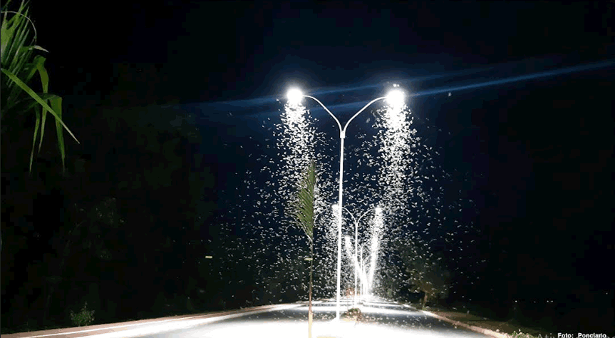 Tragédia no Vale do Jequitinhonha aumenta fluxo de veículos na BR-251 -  Rede Gazeta de Comunicação